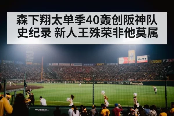 japanese baseball stadium