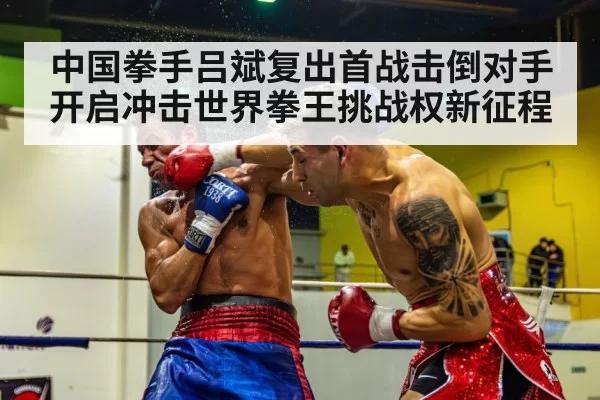 boxing knockout punch